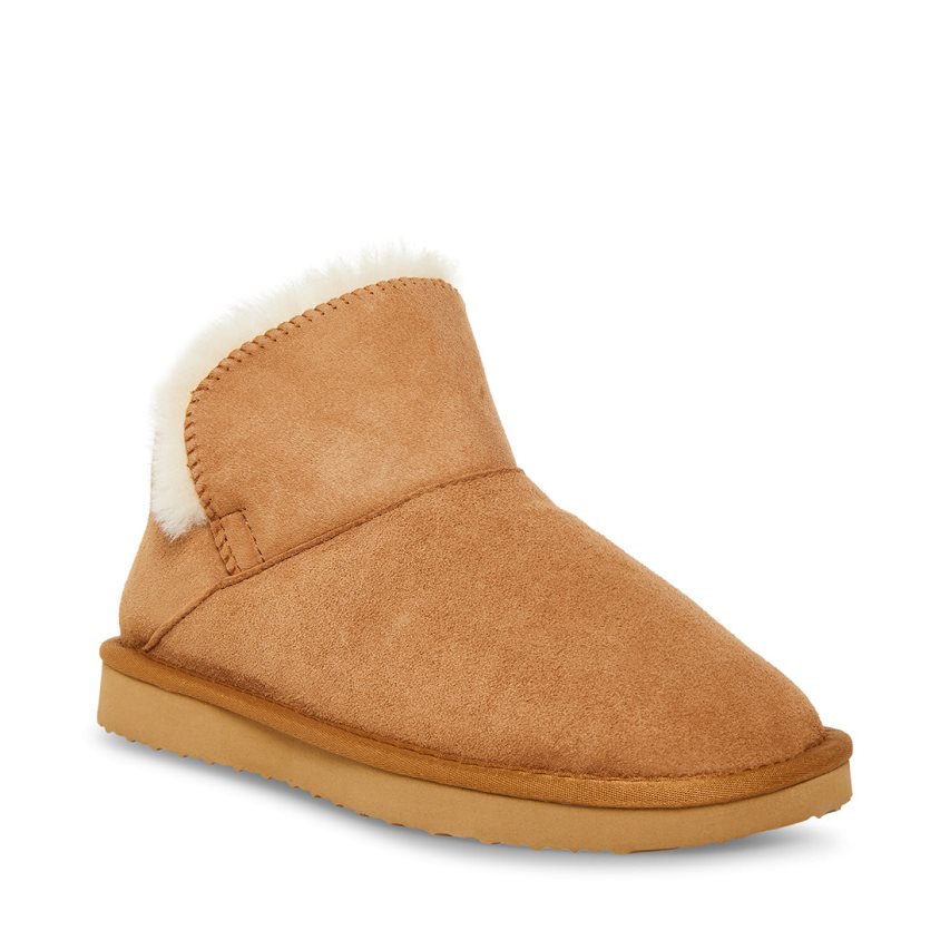 Botas de Nieve Steve Madden Alpine Gamuza Mujer Marrones | ES BS168S